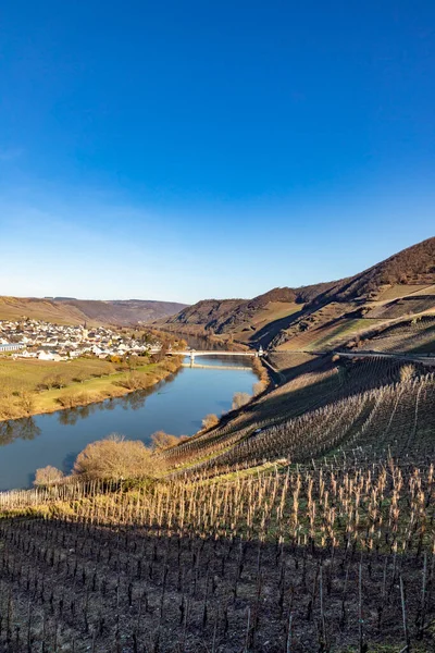 Bucle Del Río Moselle Escénico Con Pueblo Trittenheim Visto Desde —  Fotos de Stock