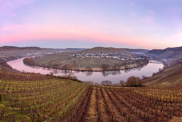 Festői Moselle Folyó Hurok Falu Trittenheim Leiwen Németország — Stock Fotó