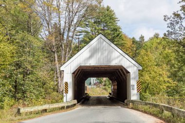 Ünlü Williamsville ahşaptan yapılmış köprü