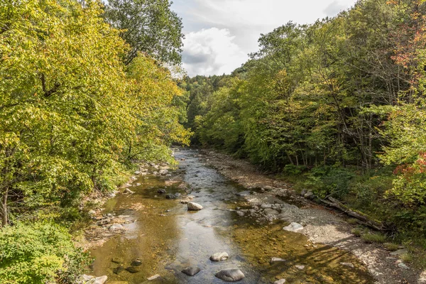 Rio Rocha Williamsville Vermont Com Árvores Verdes — Fotografia de Stock