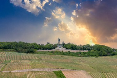 Ruedesheim manzaralı Niederwald anıtı üzüm bağlarında