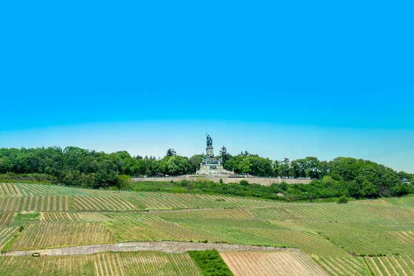 Vista Panoramica Ruedesheim Con Monumento Niederwald Nei Vigneti — Foto Stock