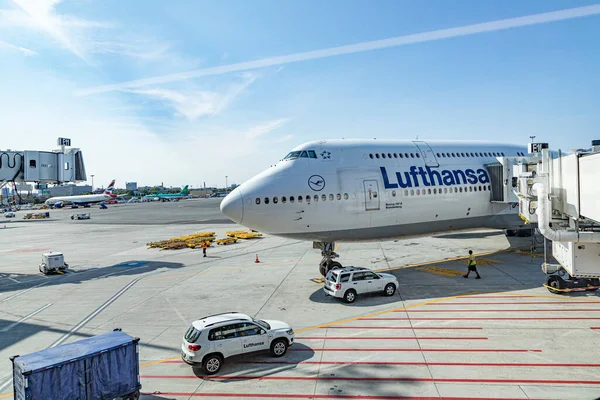 Βοστώνη Ηπα Σεπτεμβρίου 2017 Χώρος Στάθμευσης Αεροσκαφών Lufthansa Στον Τερματικό — Φωτογραφία Αρχείου