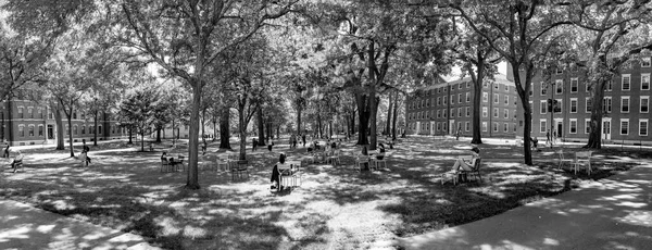 Cambridge Usa September 2017 Students Tourists Rest Lawn Chairs Harvard — Stock Photo, Image