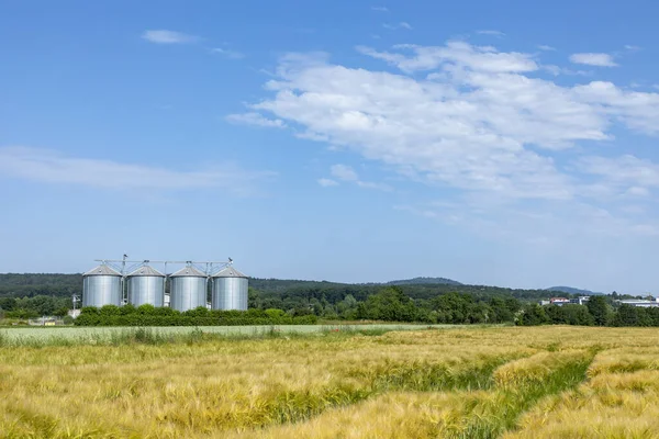 Silo Campo Para Maíz Bajo Cielo Azul Como Símbolo Para —  Fotos de Stock