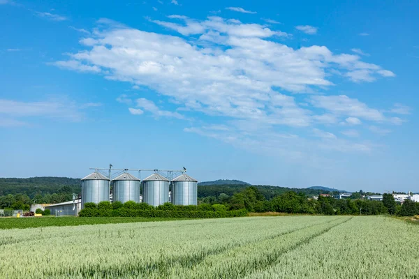 Silo Auf Dem Maisfeld Unter Blauem Himmel Als Symbol Für — Stockfoto