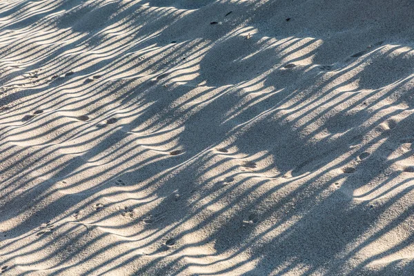 Harmonic Pattern Stripes Shadow Sandy Beach — Stock Photo, Image