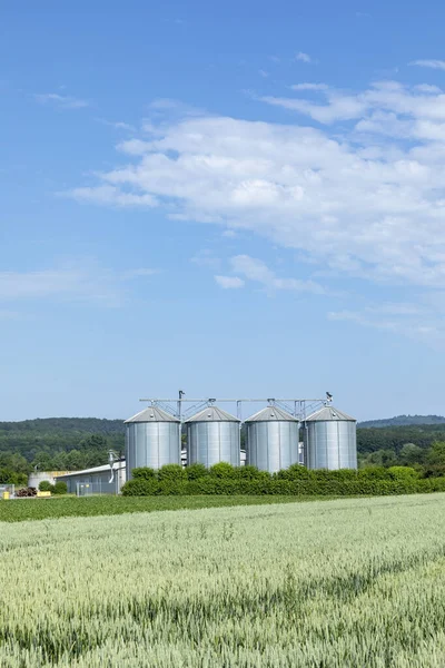 Siló Kék Alatti Kukoricamezőn Mint Mezőgazdaság Szimbóluma — Stock Fotó