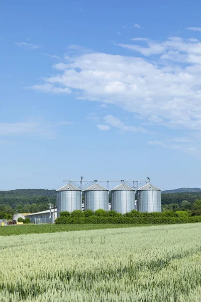 Silo Auf Dem Maisfeld Unter Blauem Himmel Als Symbol Für — Stockfoto