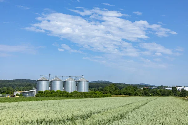 Silo Campo Para Maíz Bajo Cielo Azul Como Símbolo Para — Foto de Stock