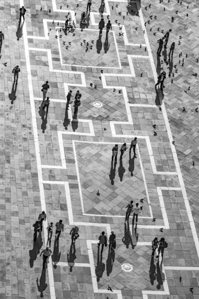 Venezia Aprile 2007 Turisti Piazza San Marco Nutrono Grandi Stormi — Foto Stock