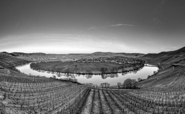 Manzaralı Moselle nehir döngüsü. Almanya, Leiwen 'den Trittenheim köyü görüldü.