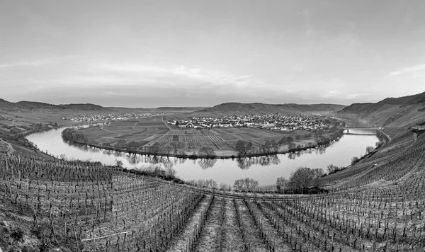 Scenico Anello Del Fiume Mosella Con Villaggio Trittenheim Visto Leiwen — Foto Stock