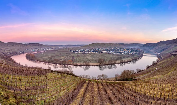 Malownicza Pętla Rzeczna Moselle Wioską Trittenheim Widziana Leiwen Niemcy — Zdjęcie stockowe