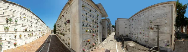 ヴェネツィア イタリア 7月6 2021 ヴェネツィアとムラーノの間のヴェネツィアラグーンのサンマイケル島のサンミケーレの歴史的墓地 19世紀に建てられた — ストック写真