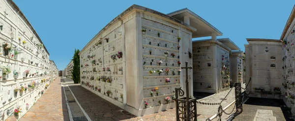 ヴェネツィア イタリア 7月6 2021 ヴェネツィアとムラーノの間のヴェネツィアラグーンのサンマイケル島のサンミケーレの歴史的墓地 19世紀に建てられた — ストック写真
