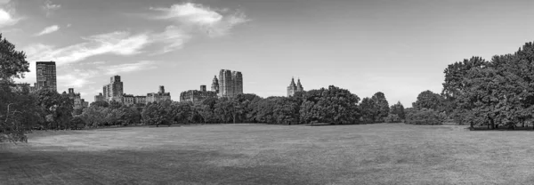 Sheep Meadow Central Park New York Usa Con Skyline — Foto Stock