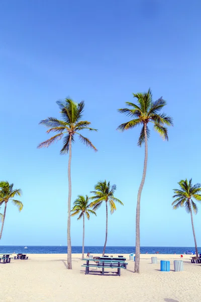 ชายหาดที่สวยงาม Fort Lauderdale — ภาพถ่ายสต็อก
