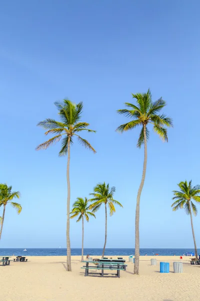 ชายหาดที่สวยงาม Fort Lauderdale — ภาพถ่ายสต็อก