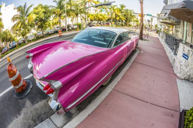 ocean drive miami Beach Park cadillac eski model araba