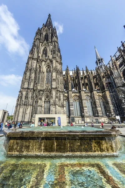Lidé před kolínskou katedrálu v Kolíně nad Rýnem — Stock fotografie
