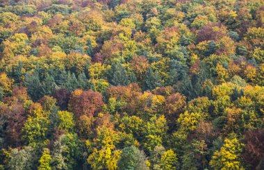 pastırma yazı renkleri güzel ağaçlar