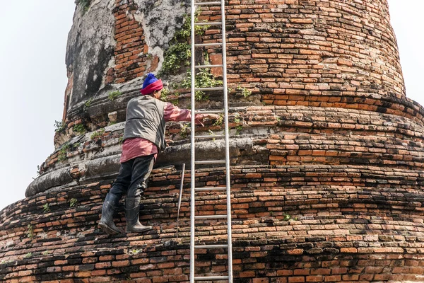 Trabalhador na área do templo em Ayutthaya escalando uma stupa — Fotografia de Stock