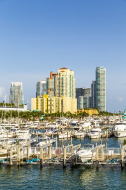 Miami south beach marina manzarası ile