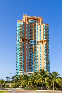 palmiye ağaçları ve south beach, miami, florida, highrises