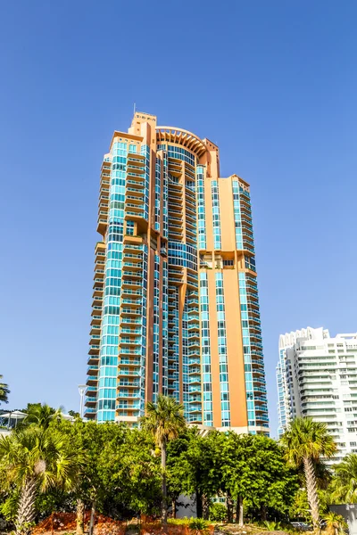 Palmiye ağaçları ve south beach, miami, florida, highrises — Stok fotoğraf