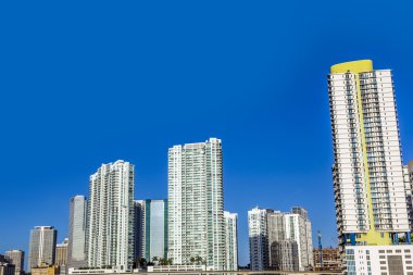 Miami şehir manzarası 