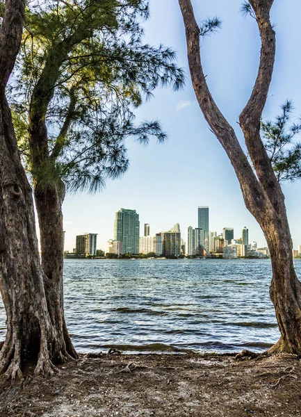 Miami bayfront városkép skyline — Stock Fotó