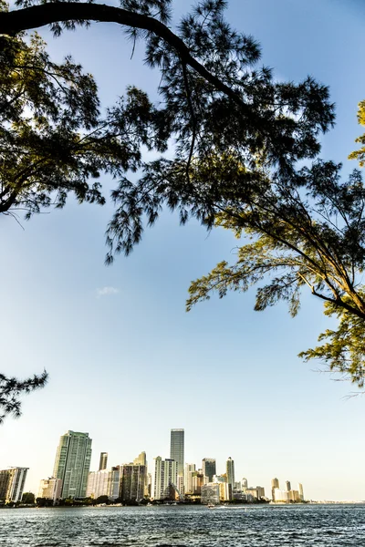 Miami bayfront skyline paesaggio urbano — Foto Stock