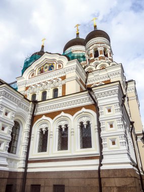 dev ağaç örümcek Altın Küre dokumacı veya muz örümceği