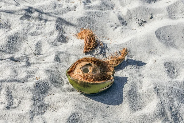 Coco en la playa —  Fotos de Stock