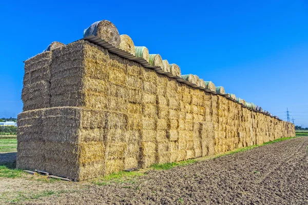 Baal stro in de herfst in intensieve kleuren — Stockfoto