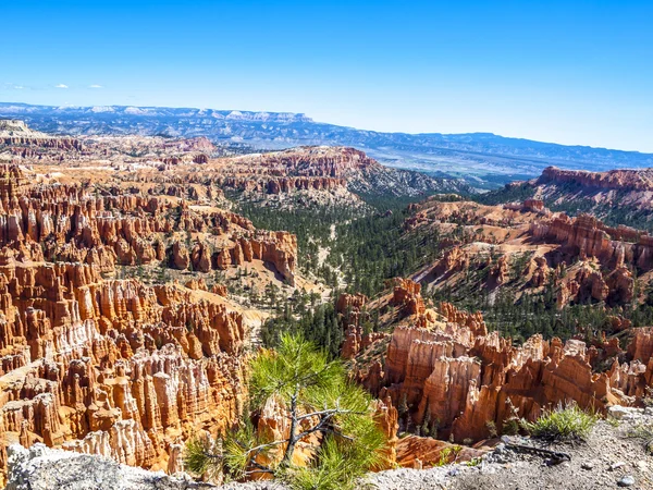Great spires carved away by erosion in Bryce Canyon National Par — Stock Photo, Image