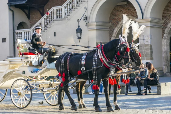 Kr のメイン広場 mariacki 教会の前に馬の馬車 — ストック写真