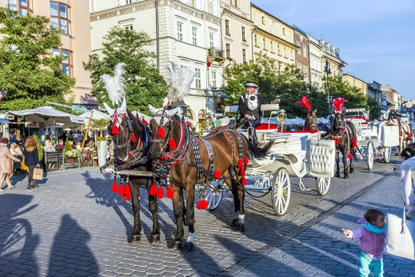 Horse carriages in front of Mariacki church on main square of Kr — Stock Photo, Image