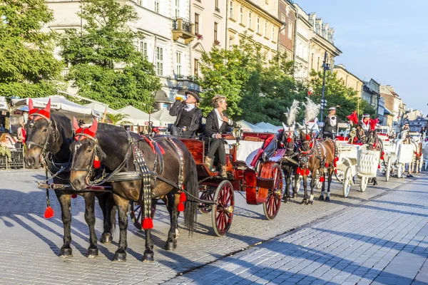 Horse carriages in front of Mariacki church on main square of Kr — Stock Photo, Image