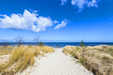 kabul töreni beach Baltık Denizi adlı kumlu yolu ile