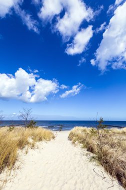 kabul töreni beach Baltık Denizi adlı kumlu yolu ile