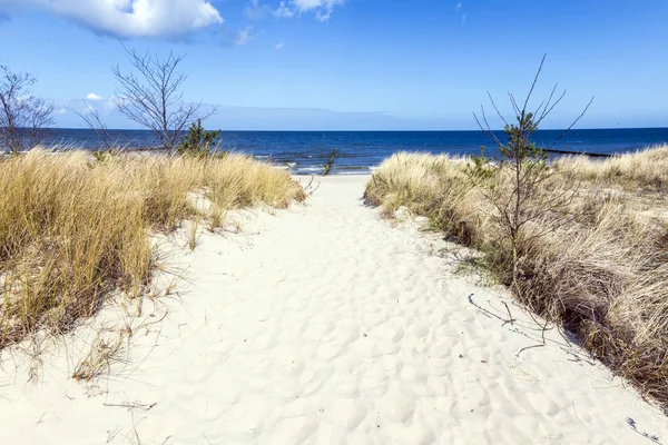 Argine con sentiero sabbioso per la spiaggia al mare baltico — Foto Stock