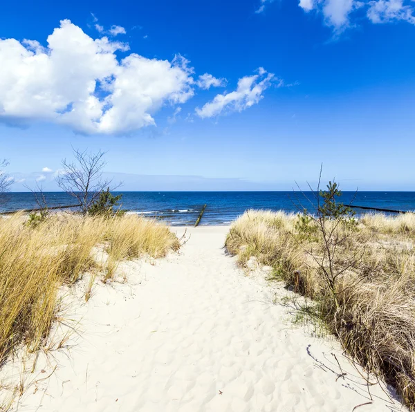 Dique com caminho arenoso para praia em mar baltico — Fotografia de Stock