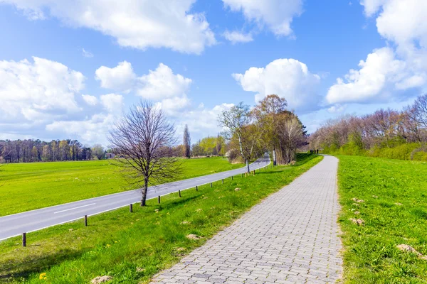 Levee with sandy path to beach at baltic sea — Stock Photo, Image