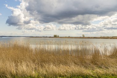 Usedom Baltık denizde Achterwasser 