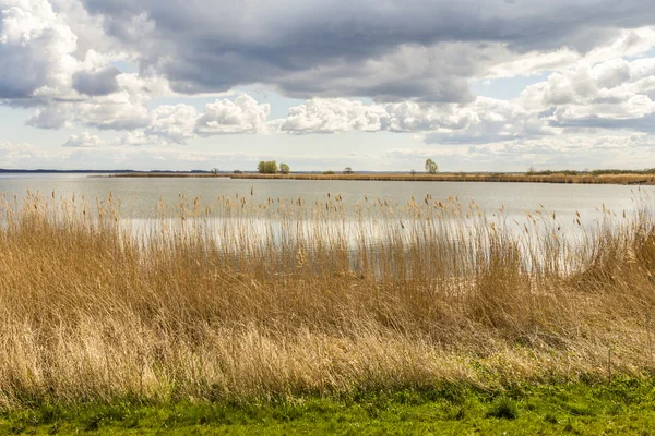 Achterwasser in Usedom al mare baltico — Foto Stock