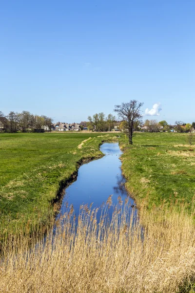 Achterwasser i Zinnowitz — Stockfoto