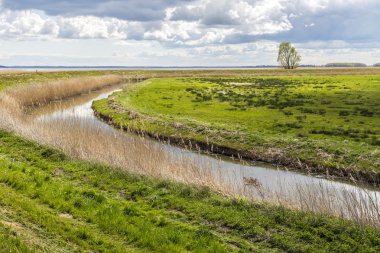 Zinnowitz Usedom adasında, Achterwasser