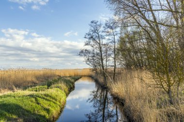Usedom Baltık denizde Achterwasser